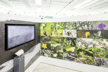 faszinaturRaum Valendas (© Mathias Kunfermann)