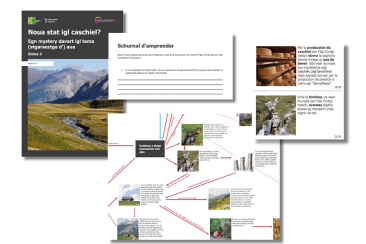 4_ausschnitte_angeordnet_rom