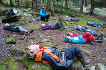 Ab in die Natur - Entdeckungstour im Wald